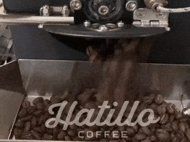 Specialty Coffee GIF