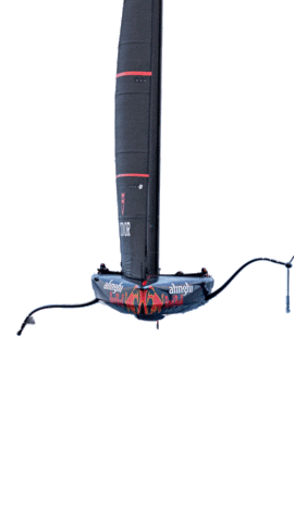 Alinghi Red Bull Racing Sticker