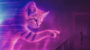 Sndk GIF