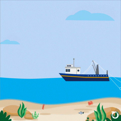 Oceana Perú GIF