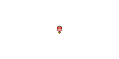 Tsvbayer04 Sticker by TSV Bayer 04 Leverkusen e. V.