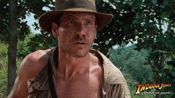 Harrison Ford Smile GIF by Indiana Jones
