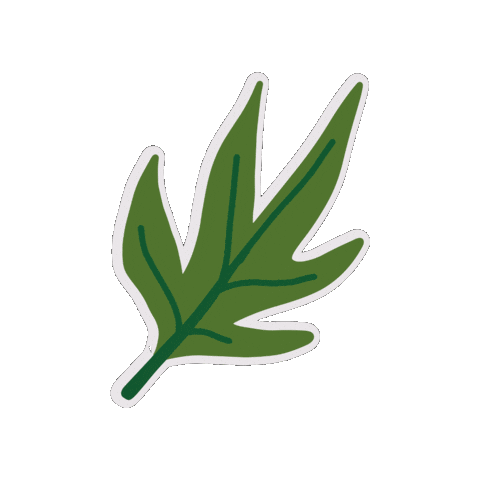 Leaf Vert Sticker by LesHallesDeLaJonction