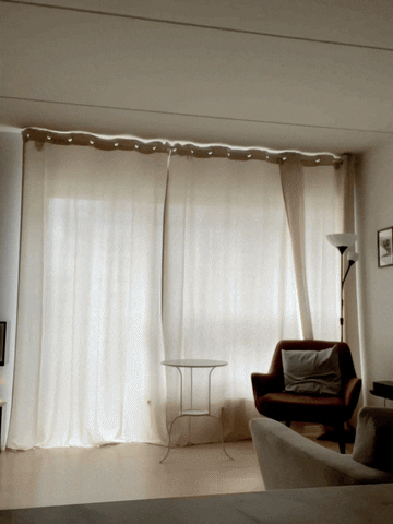 Photoshoot GIF