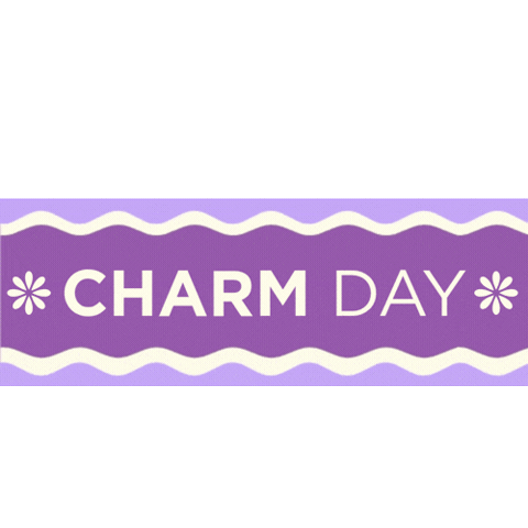 La Union Charmer Sticker by CHARM Medical Skin and Body Clinic