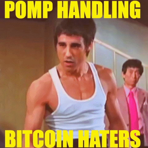 Bitcoin Meme Pomp GIF by Bitcoin & Crypto Creative Marketing