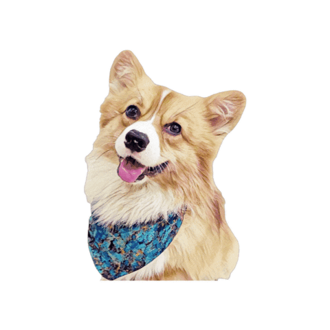 Corgisofmanila Sticker by Bellucci Manila