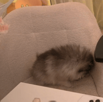 Upminaa GIF