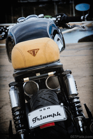 trydeal thruxton triumph motorcycle GIF