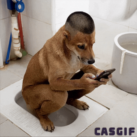 Dog GIF