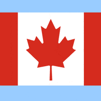 Canadian Penguin GIF by Pudgy Penguins