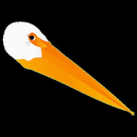 puraquiteria blanco naranja pelicano intered GIF