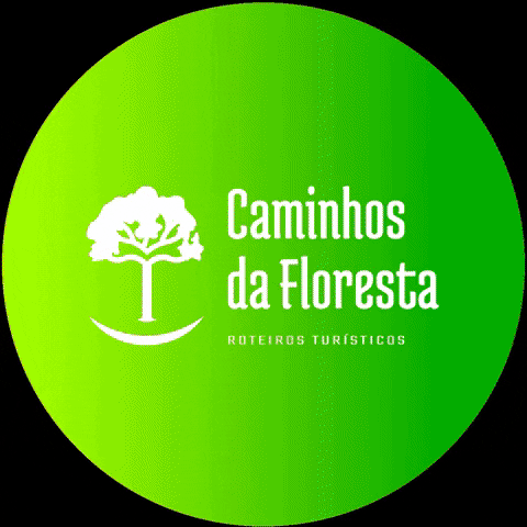 Floresta GIF - Floresta - Discover & Share GIFs