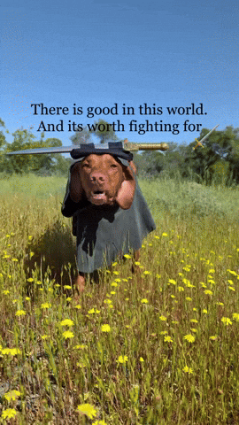 Fight Resist GIF
