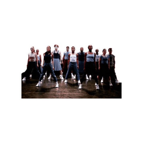 BalletX Sticker