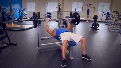 Fitness GIF - Find & Share on GIPHY