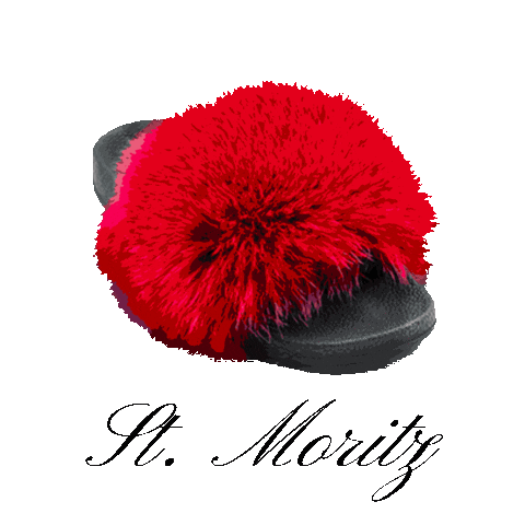 Elisabetta Panerai Sticker