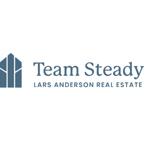 Team Steady Sticker