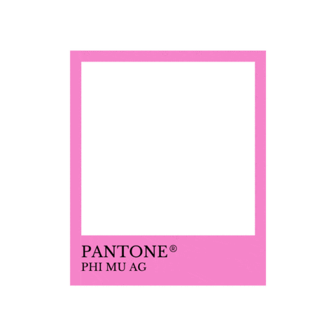 Phi Mu Samford Sticker