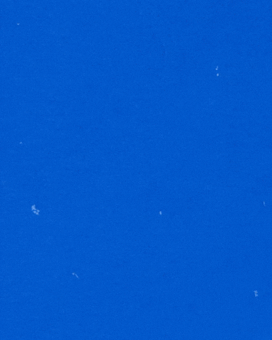 UMass Lowell Athletics GIF