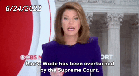 Supreme Court Dobbs GIF