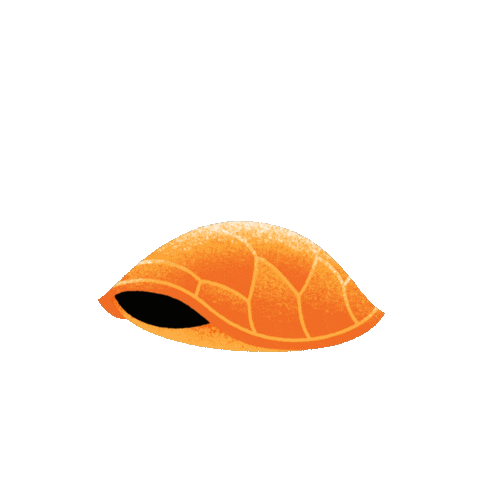 DontbeaTosser Sticker