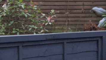 Fence Vicky GIF by Hollyoaks