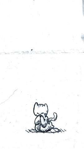 Cat Pray GIF by Jimmy Arca