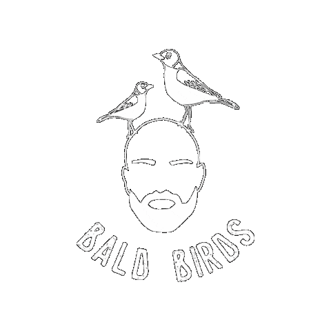 Bald Birds Brewing Company Sticker