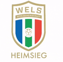 Spgwels GIF by SPG WSC Hogo Hertha Wels