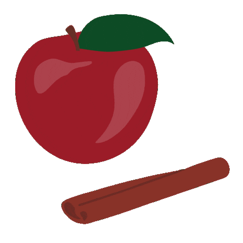 Hint Water Cinnamon Sticker by Hint