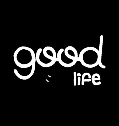 goodexpressmx GIF