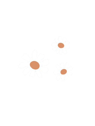 Flowers Daisy Sticker