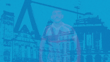 Football Tor GIF by ChemnitzerFC