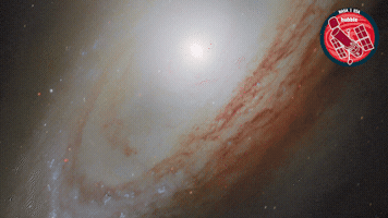 Universe Galaxy GIF by ESA/Hubble Space Telescope