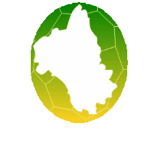 Comité Handball Aveyron Sticker