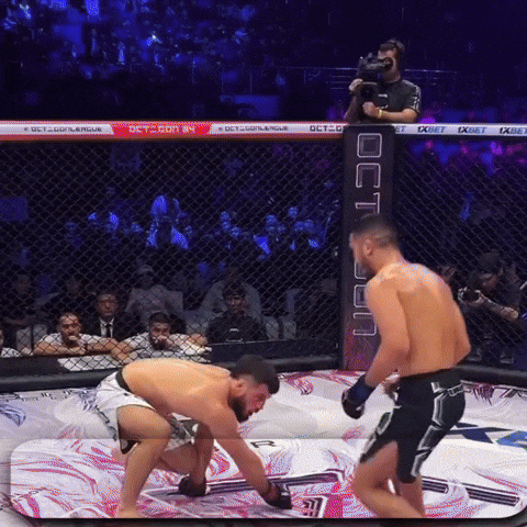 Ufc Mma GIF
