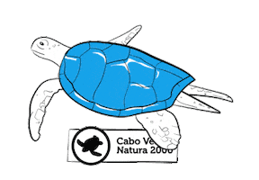 Cabo Verde Natura 2000 Sticker