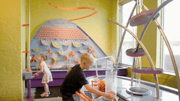 Water Play GIF by Kentucky Science Center