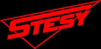 STESY GIF