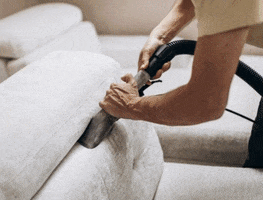 Upholstery Cleaning Plainsboro Nj GIF
