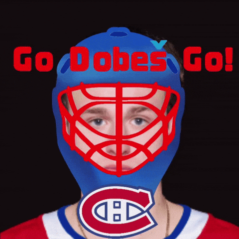 Hockey Go GIF