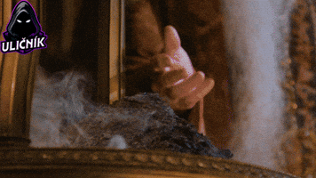 Tired Sleep GIF