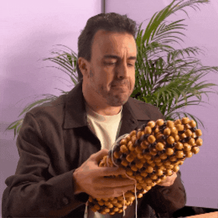 Fernando Alonso Dont Know GIF by Finetwork
