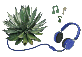 Mexico Musica Sticker by Santa Sabia Media
