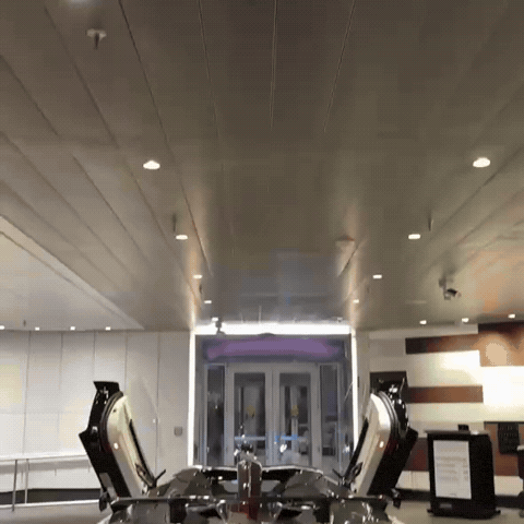 Bara Svj GIF
