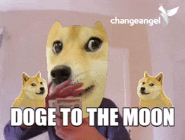 Make It Rain Dog GIF by changeangel