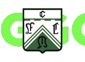 Ferro Sticker by FerroOficial