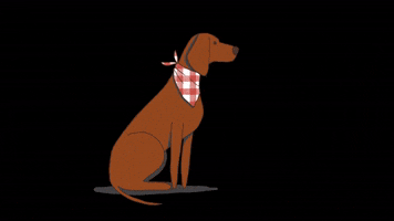 Dog Woof GIF by eh sisters