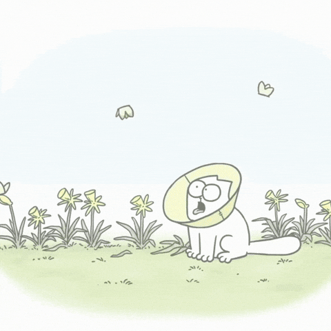 Gardening Lol GIF by Simon's Cat